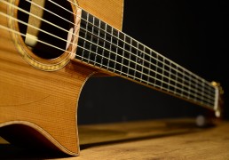 Nylon String Guitars - Maestro Guitars